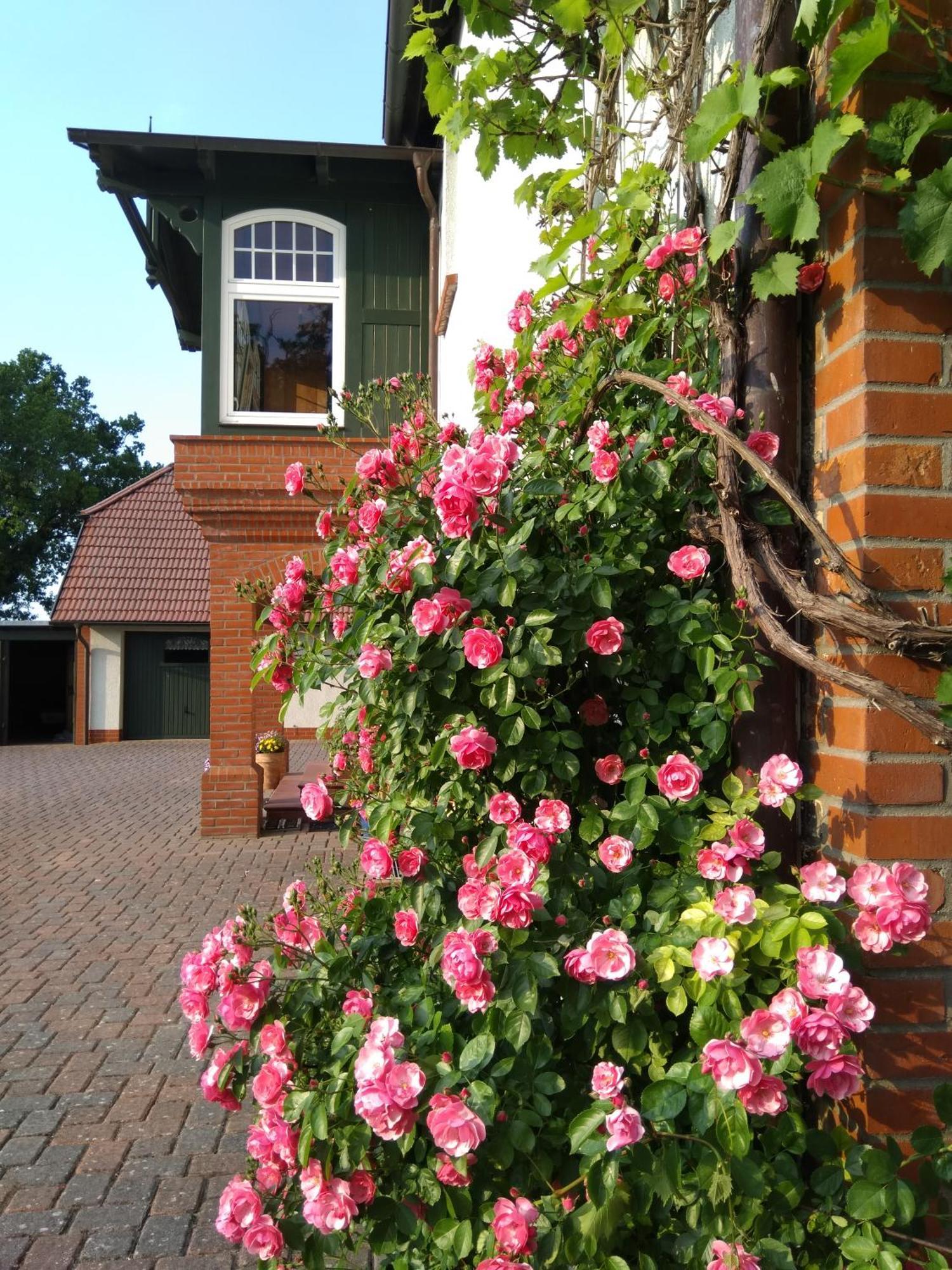 Landtraum Im Traumland Mecklenburg Apartment Warin Екстериор снимка